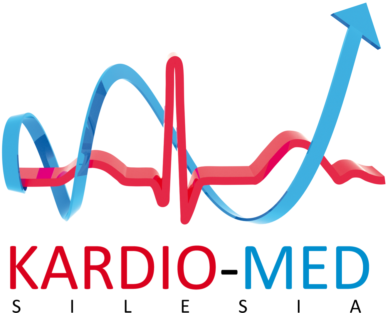 Kardio-Med Silesia – Medical Technology Park